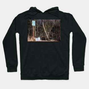 NO VEHICLES BEYOND THIS POINT Hoodie